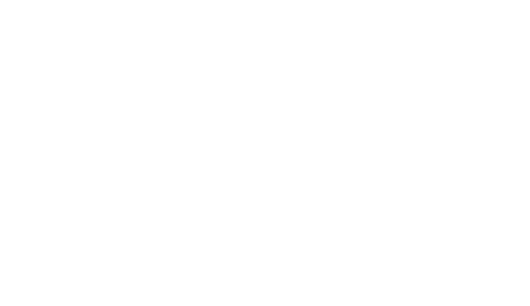 Pre-Cut Glitter Crown Heat Transfer – Ready to Press HTV Crown for Birthday Shirts